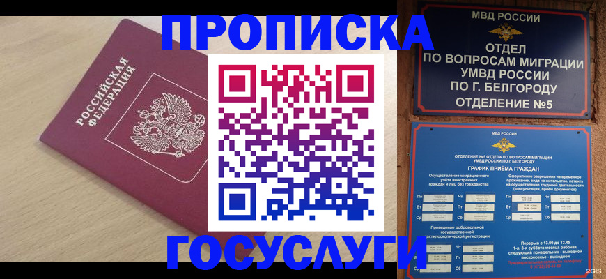 прописка законно в Щёлкино